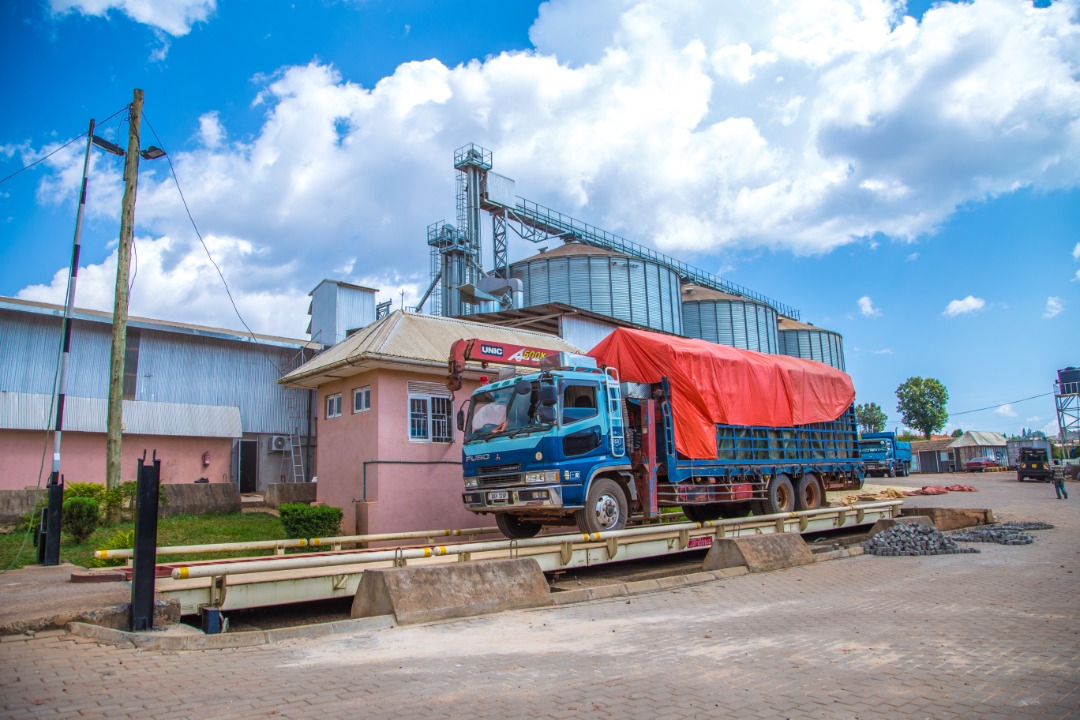 WhatsApp Image 2021-04-23 at 1.01.17 PM.jpeg